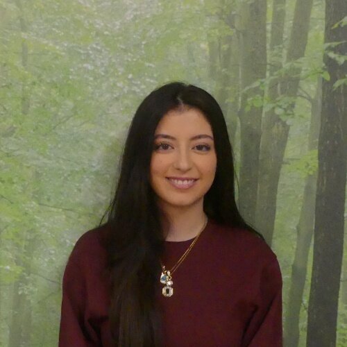 asli-toktas.jpg